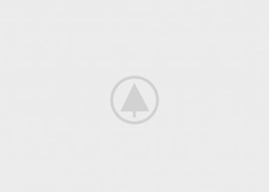 wood-gallery-placeholder-5 wood-gallery-placeholder-5